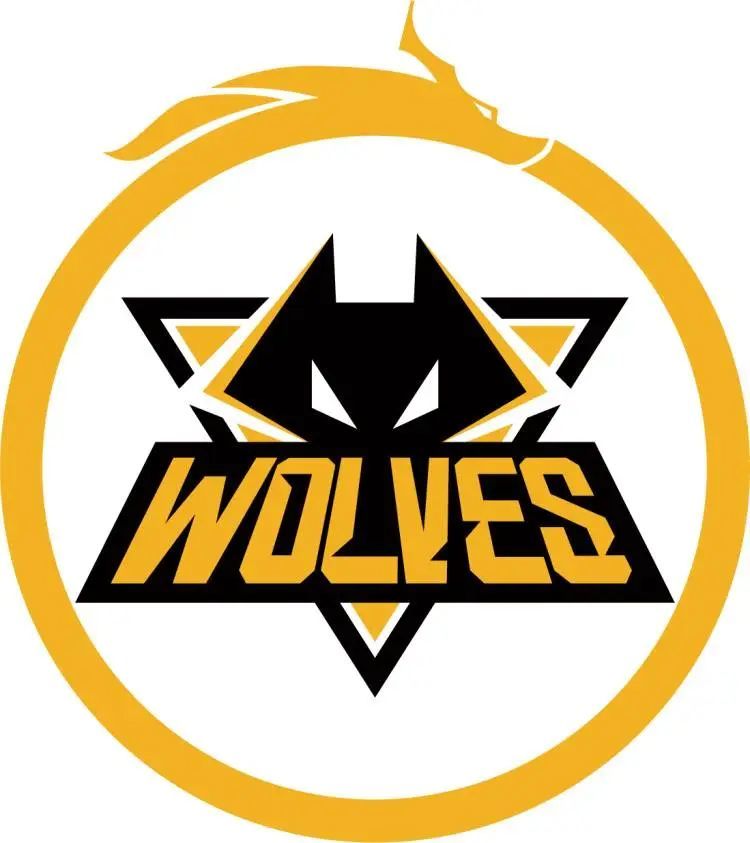 NAVI, Ninjas in Pyjamas , 和 B8 将参加 StarLadder StarSeries 2025 秋季赛